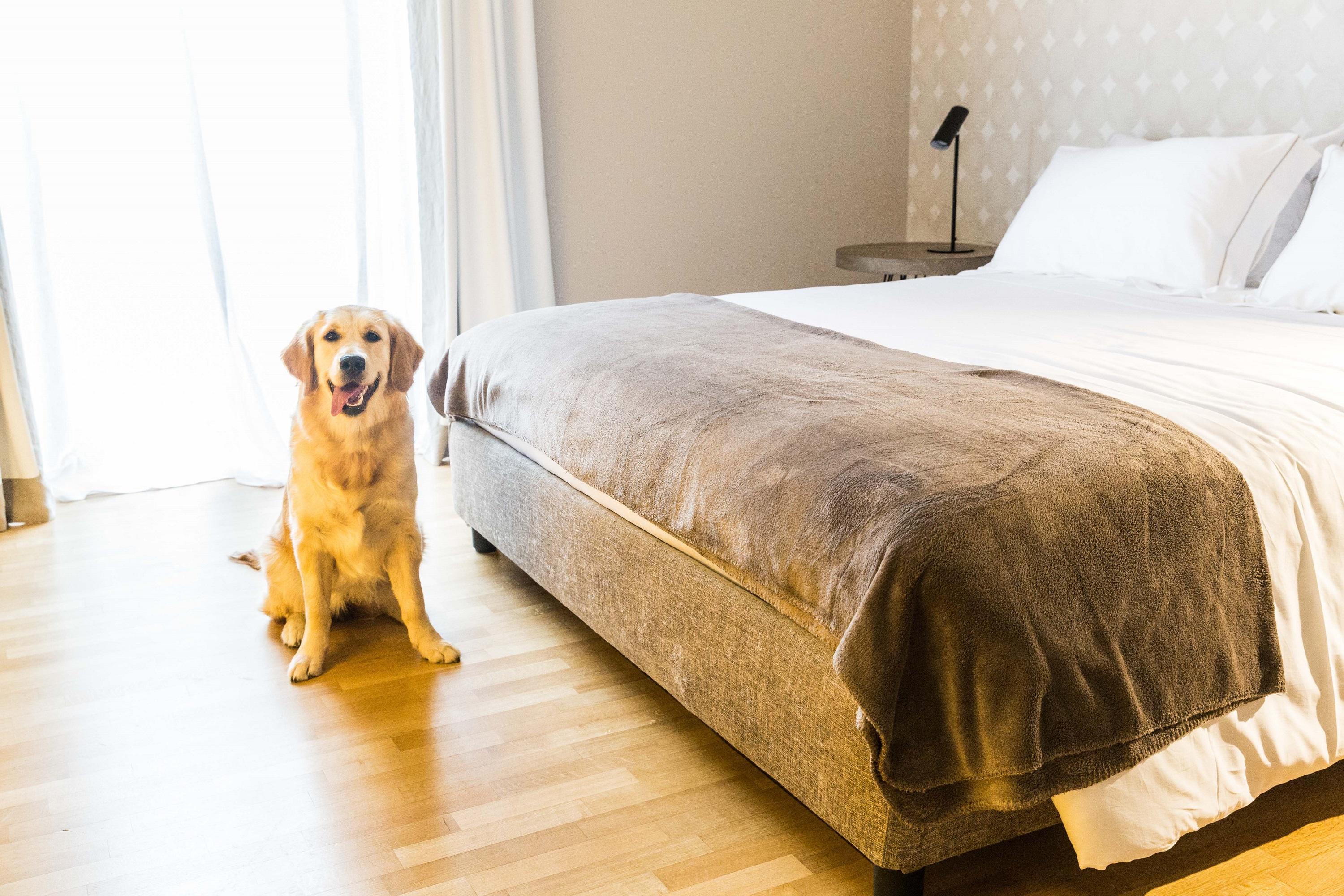 バーリ 200 ルームズ＆テラス Bed & Breakfast エクステリア 写真